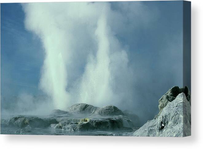 Whakarewarewa Thermal Park Canvas Print featuring the photograph New Zealand,rotorua,whakarewarewa #1 by Natphotos