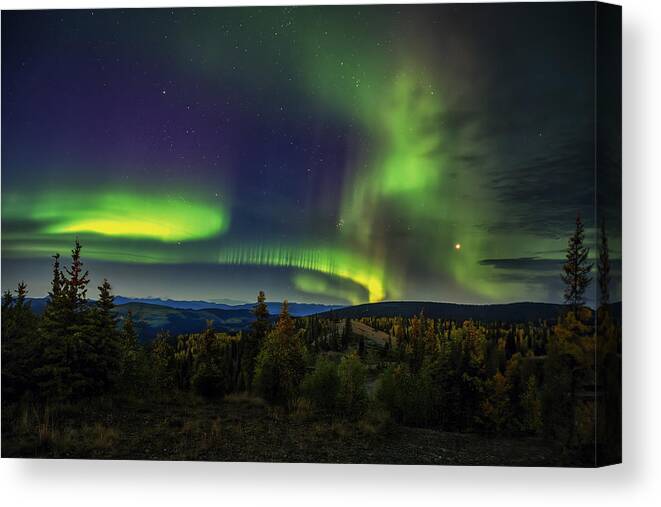 Northern Lights Canvas Print featuring the photograph Northern Lights #1 by Shirley Ji