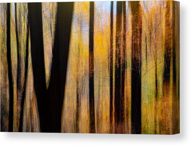 Forestabstract Canvas Print featuring the photograph Painterly Abstract Motion Blur #1 by Bill Gozansky