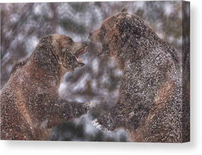 Animals Canvas Print featuring the photograph Play Time #1 by Brian Cross