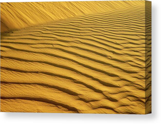 Sand Dune Canvas Print featuring the photograph Sand Dune, Negev Desert, Israel #1 by Photostock-israel