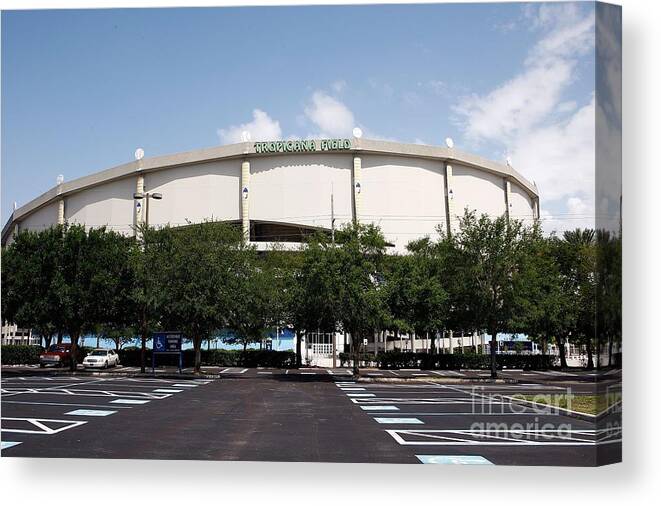American League Baseball Canvas Print featuring the photograph Seattle Mariners V Tampa Bay Rays by J. Meric