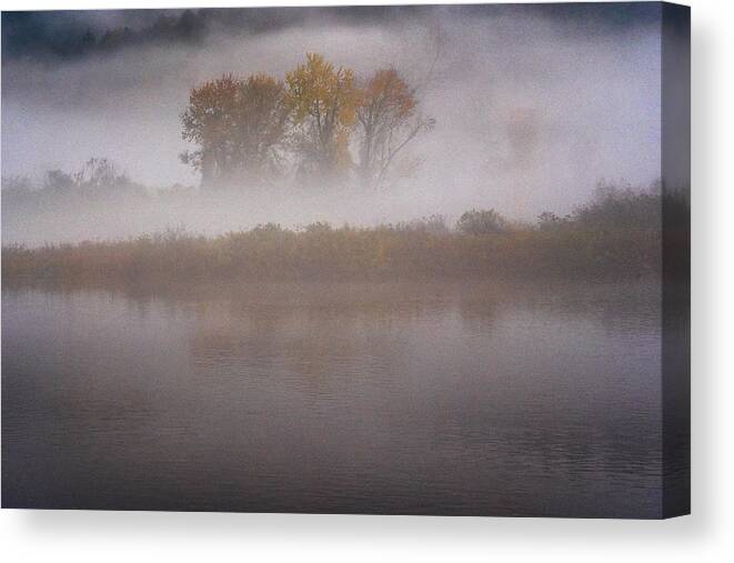 The Brattleboro Retreat Meadows Canvas Print featuring the photograph Trees In Fog by Tom Singleton