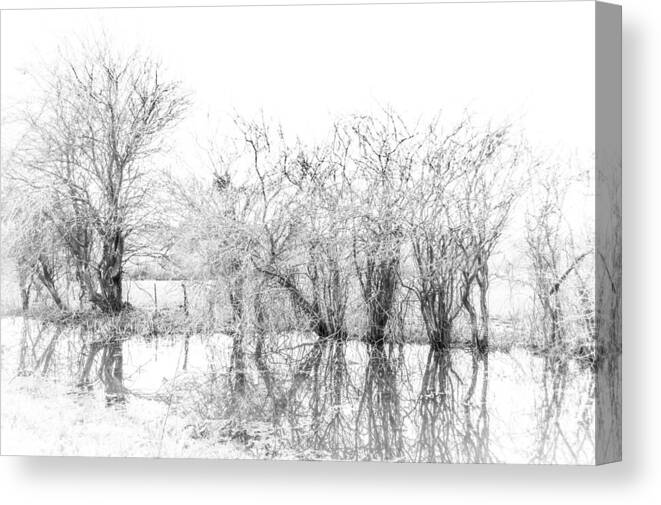 Trees Canvas Print featuring the photograph Trees In Winter #1 by Isabelle Dupont