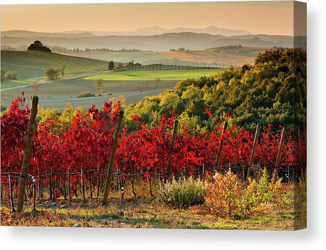 Estock Canvas Print featuring the digital art Tuscany, Chianti Vineyards, Italy #1 by Olimpio Fantuz