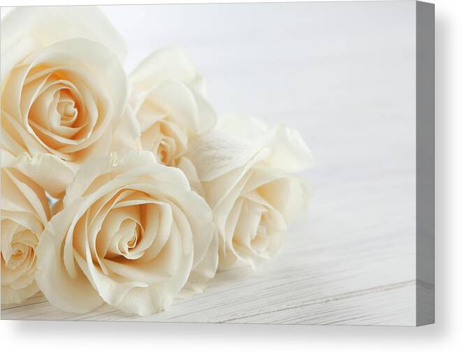 Petal Canvas Print featuring the photograph White Roses #1 by Creativeye99