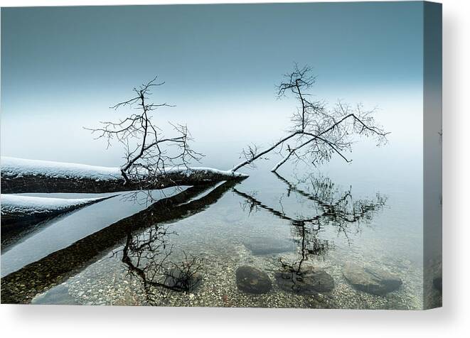 Winter Canvas Print featuring the photograph Winter Impression #1 by Ulrike Eisenmann