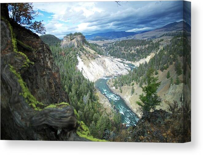 Scenics Canvas Print featuring the photograph Yellowstone River #1 by Dominik Eckelt
