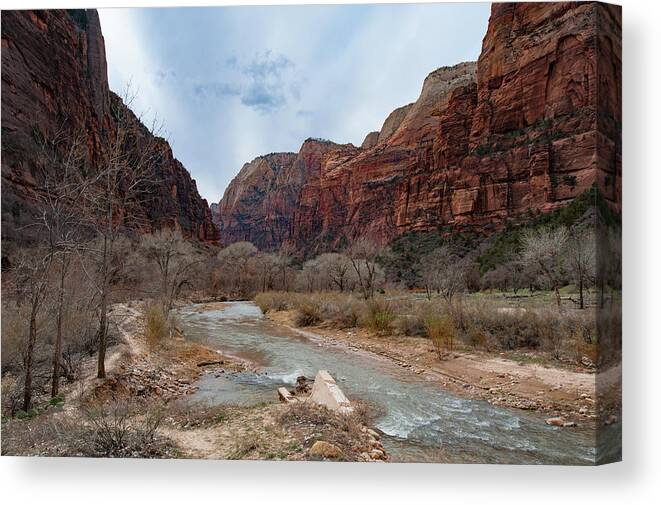 Zion Canvas Print featuring the photograph Zion Canyon #2 by Mark Duehmig