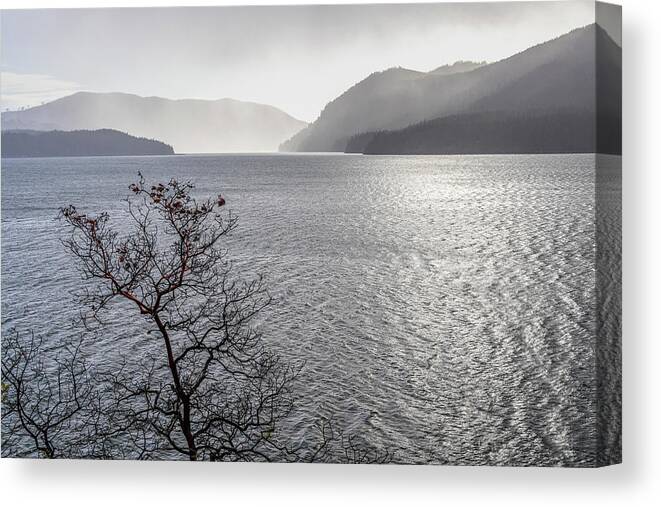 Don Paulson Canvas Print featuring the photograph USA, Washington State, Olympic National #155 by Jaynes Gallery