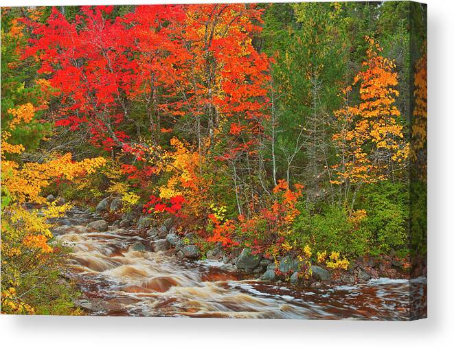 Autumn Canvas Print featuring the photograph Canada, Nova Scotia #17 by Jaynes Gallery