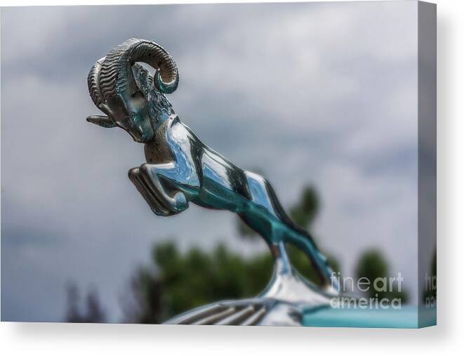 Dodge Canvas Print featuring the photograph 1936 Dodge Hood Ornament by Tony Baca