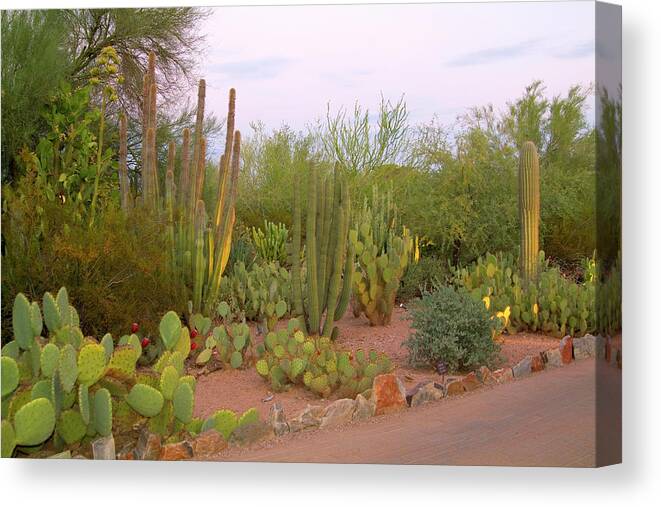 Estock Canvas Print featuring the digital art Arizona, Phoenix, Desert, Cactus #2 by J.b. Grant