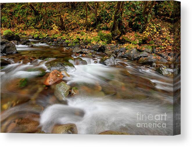 Stream Canvas Print featuring the photograph Autumn Cascades #2 by Michael Dawson