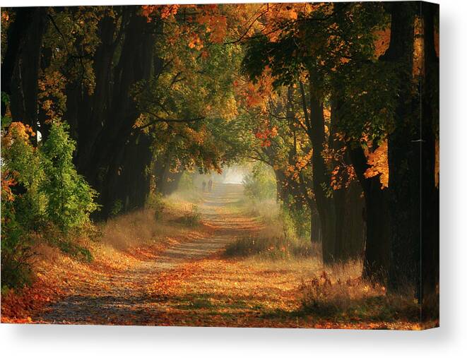 Autumn Canvas Print featuring the photograph Autumn by Fproject - Przemyslaw