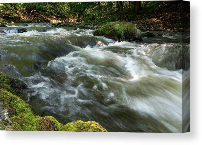 Nature Canvas Print featuring the photograph Bode, Harz #3 by Andreas Levi