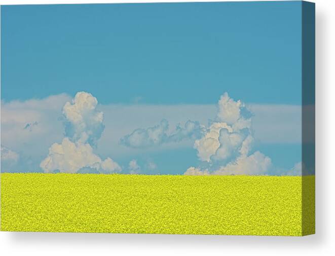 Agribusiness Canvas Print featuring the photograph Canada, Alberta, Strathmore #2 by Jaynes Gallery