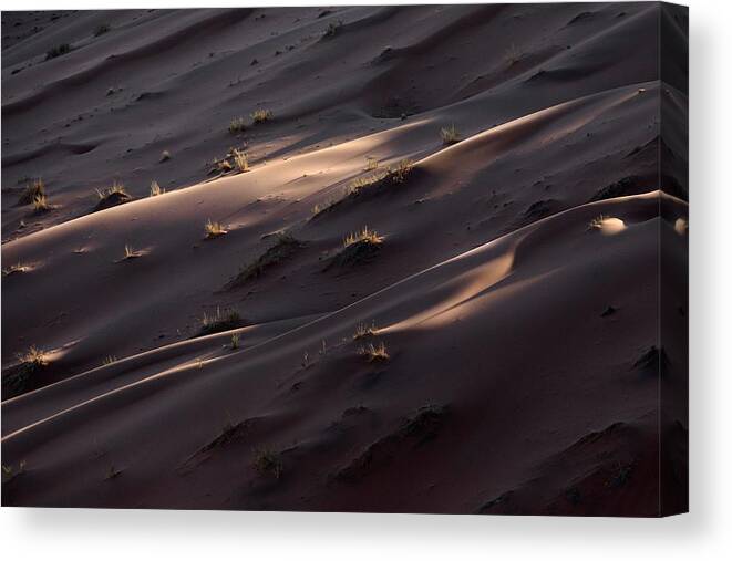 Desertabstract Canvas Print featuring the photograph Details Of A Sand Dune In Namibia #2 by Ben McRae