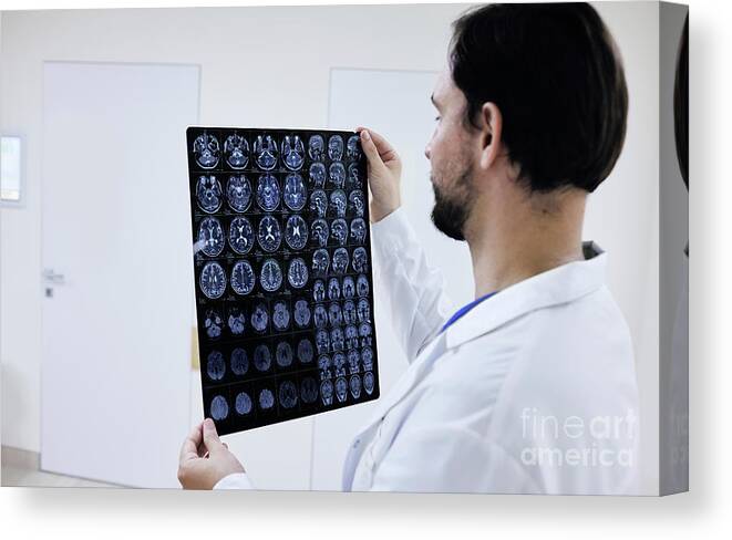 Doctor Canvas Print featuring the photograph Doctor Checking Brain Scans #2 by Peakstock / Science Photo Library