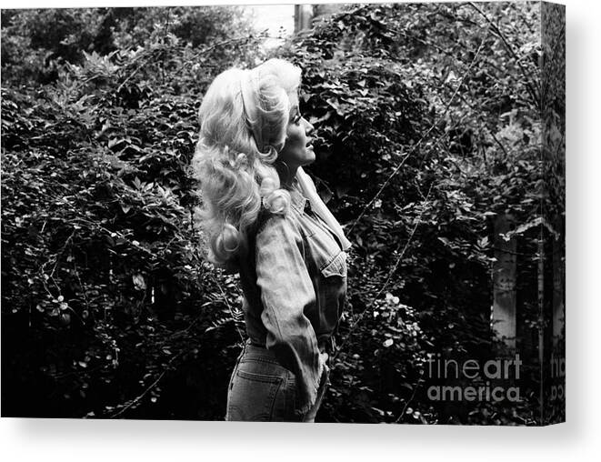Singer Canvas Print featuring the photograph Dolly Parton In Nyc #2 by The Estate Of David Gahr