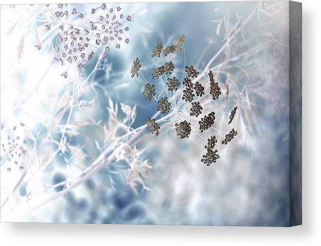 Flower Canvas Print featuring the photograph Fantasy #2 by Jacky Parker
