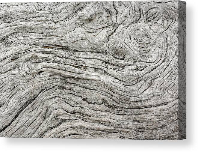 Adam Jones Canvas Print featuring the photograph Geometric Pattern In Eroded Driftwood #2 by Adam Jones