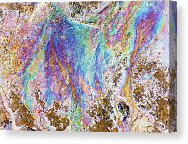 Water Canvas Print featuring the photograph Interference Pattern Of Oil On Water #2 by Dr Keith Wheeler/science Photo Library