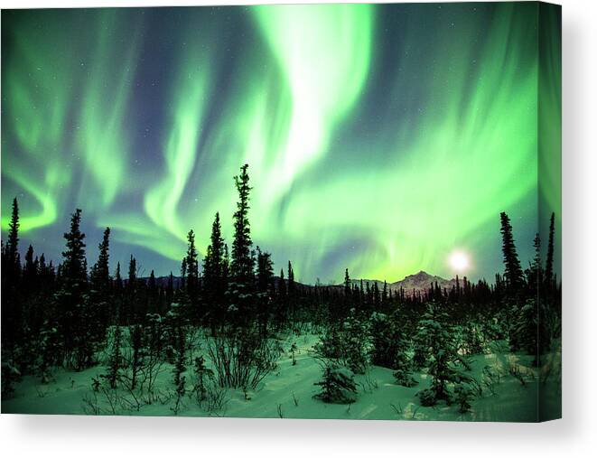 Tranquility Canvas Print featuring the photograph Northern Lights #2 by Daniel A. Leifheit