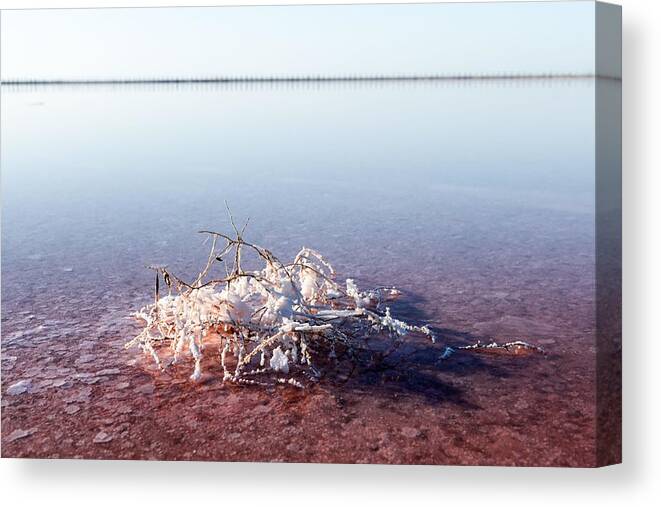 Landscape Canvas Print featuring the photograph Salt Crystals In Pink Water Salt Lake #2 by Ivan Kmit
