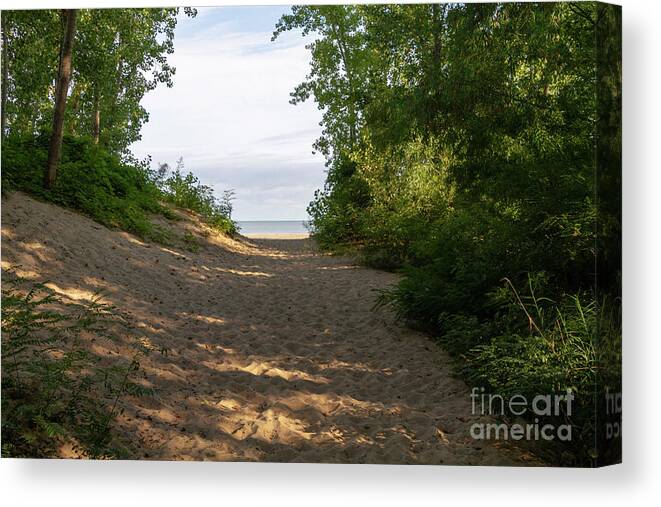 Sand Canvas Print featuring the photograph To the Beach #2 by William Norton