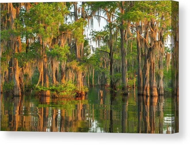 Agua Canvas Print featuring the photograph USA, Louisiana, Atchafalaya National #20 by Jaynes Gallery