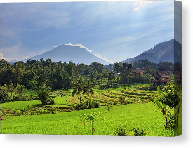 Scenics Canvas Print featuring the photograph Indonesia, Bali, Rice Fields And #22 by Michele Falzone
