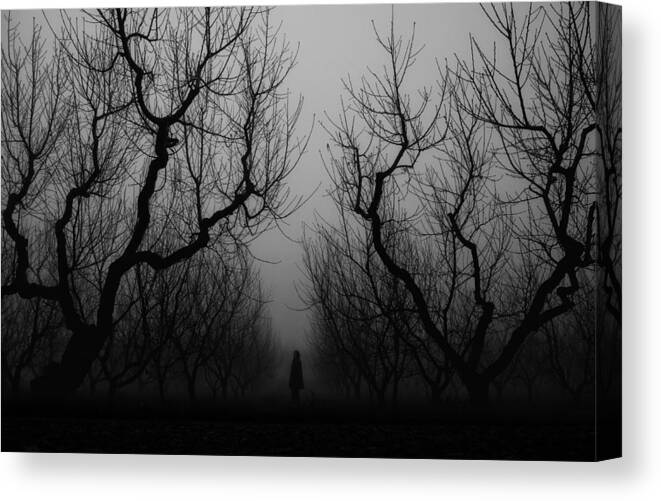 Silhouette Canvas Print featuring the photograph #23 by Ali Ayer