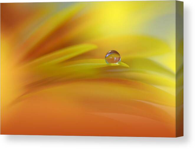 Abstractnature Canvas Print featuring the photograph Beautiful Nature Background.floral Art #28 by Juliana Nan