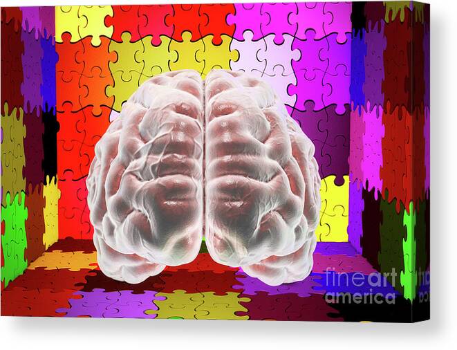 Artwork Canvas Print featuring the photograph Autism Spectrum Disorder #3 by Kateryna Kon/science Photo Library