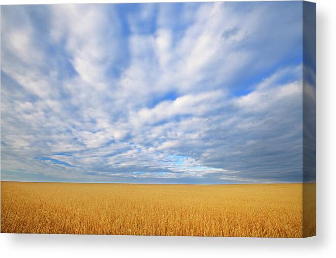 Agribusiness Canvas Print featuring the photograph Canada, Alberta, Grande Prairie #3 by Jaynes Gallery