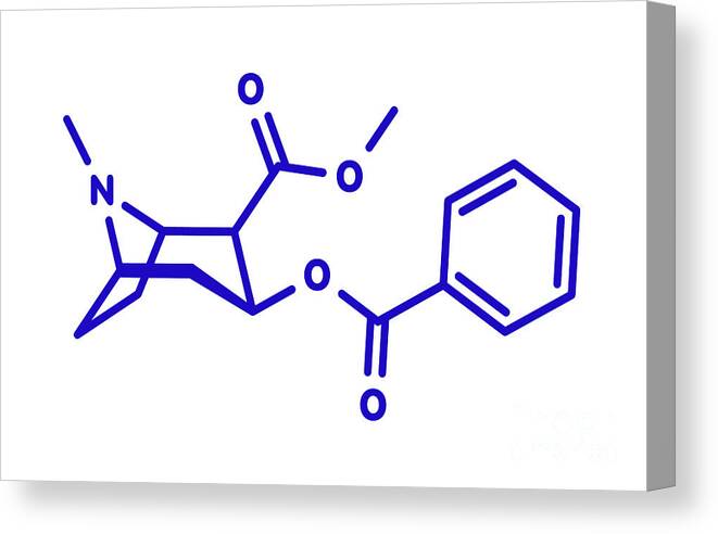 Cocaine Canvas Print featuring the photograph Cocaine Stimulant Drug Molecule #3 by Molekuul/science Photo Library