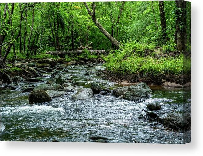 Waterfall Canvas Print featuring the photograph Fabulous Broad River #3 by Ric Schafer