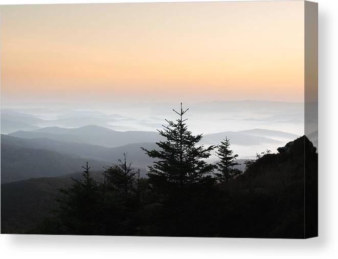 Landscape Canvas Print featuring the photograph Morning Fog In Autumn Mountains. Fir #3 by Ivan Kmit