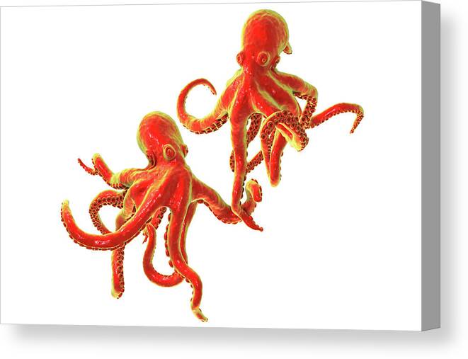 Animal Canvas Print featuring the photograph Octopus, Illustration #3 by Kateryna Kon