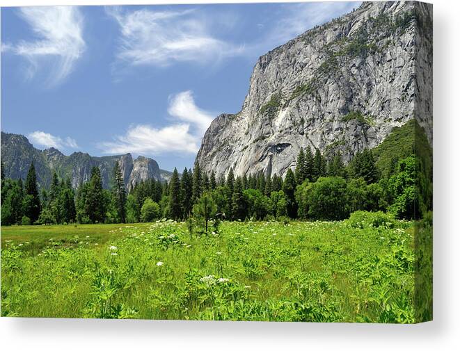Scenics Canvas Print featuring the photograph Yosemite National Park, Usa #3 by Aimin Tang