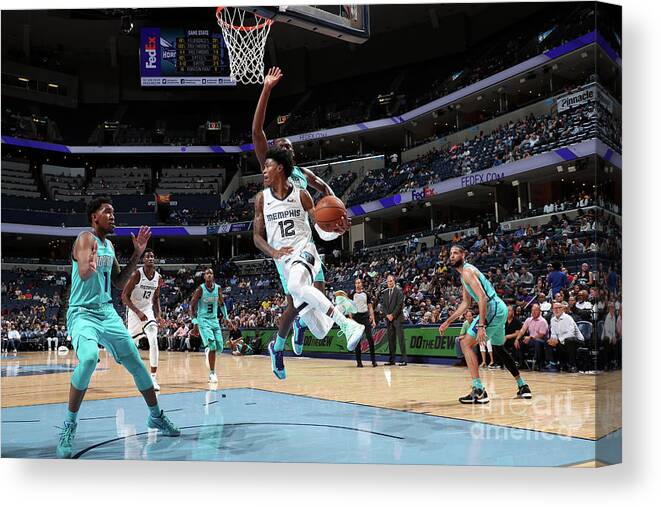 Nba Pro Basketball Canvas Print featuring the photograph Charlotte Hornets V Memphis Grizzlies by Joe Murphy