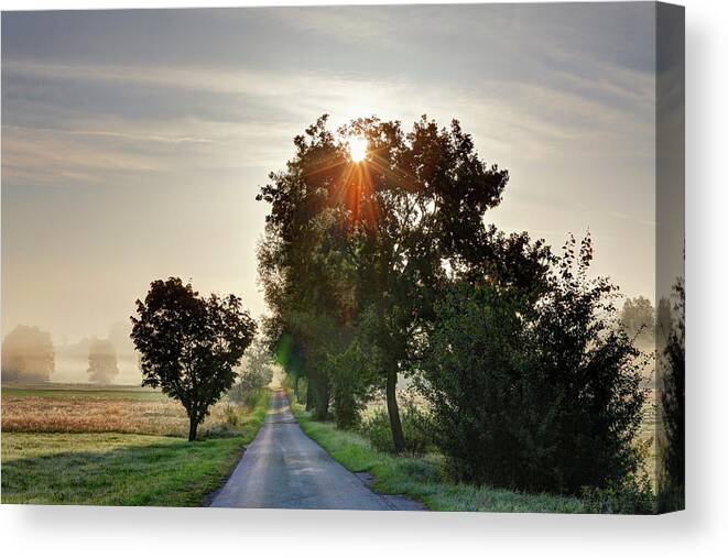 Grass Canvas Print featuring the photograph Germany, Bavaria, Upper Bavaria #4 by Westend61