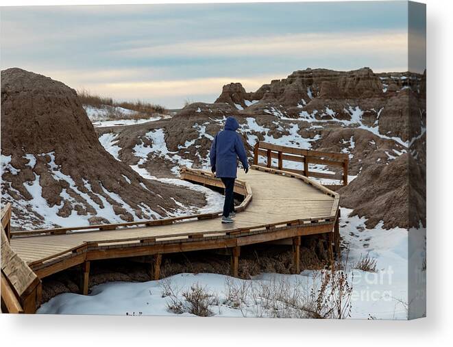 Badlands National Park Canvas Print featuring the photograph Badlands National Park In Winter #5 by Jim West/science Photo Library