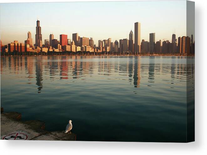 Lake Michigan Canvas Print featuring the photograph Chicago #5 by Wsfurlan