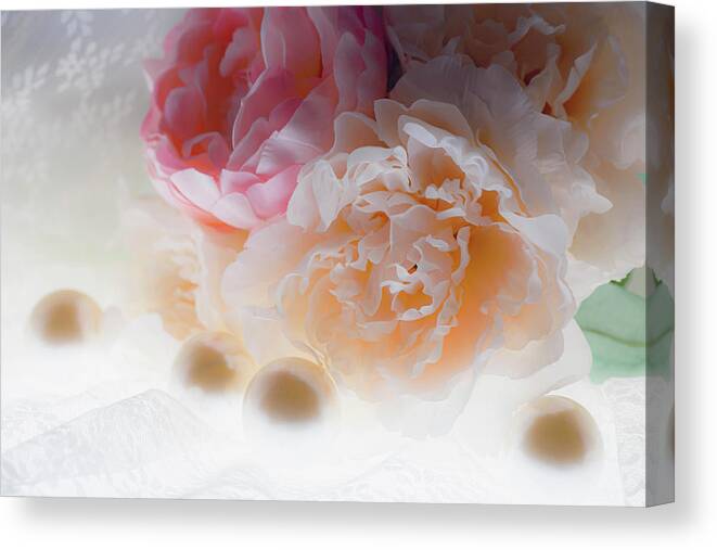 Danita Delimont Canvas Print featuring the photograph Flowers And Light #5 by Zandria Muench