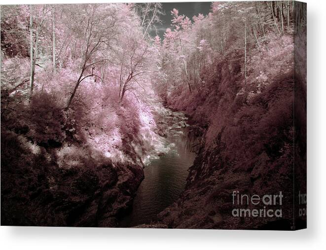 0709 Canvas Print featuring the photograph Infrared #5 by FineArtRoyal Joshua Mimbs