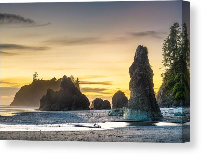 Landscape Canvas Print featuring the photograph Olympic National Park, Washington, Usa #5 by Sean Pavone