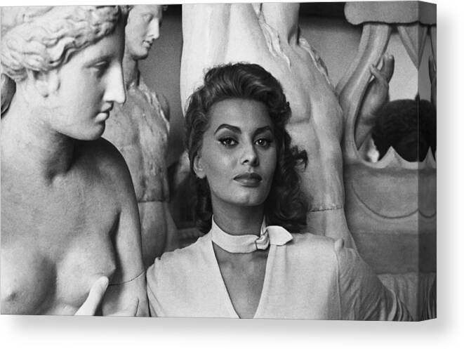 Acting Canvas Print featuring the photograph Sophia Loren #5 by George Daniell