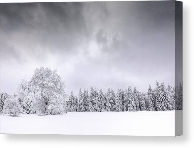 Winter Canvas Print featuring the photograph 50 Shades Of Grey by Dominique Dubied